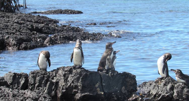 Galápagos Mágicos - 5 días - Cami Adventures 1