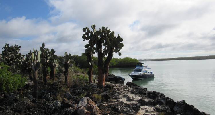 Galápagos Mágicos - 5 días - Cami Adventures 3