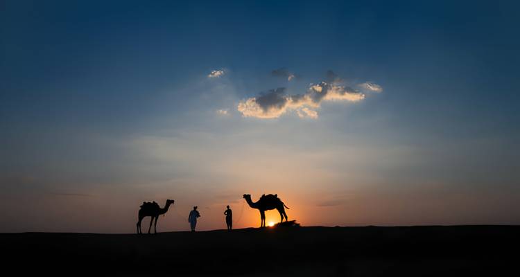 Le Triangle d'Or de l'Inde en 6 jours au départ de Delhi -  Taj Voyages Tours  8