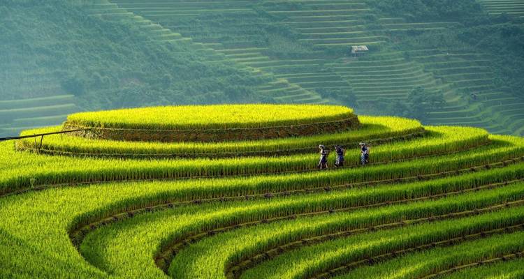 Circuito privado de Duong Lam - Mu Cang Chai - Sapa - Bac Ha 7 días 6 noches - Crossing Vietnam Tour 4