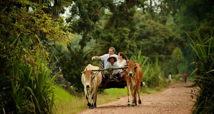 Couple riding an ox-drawn cart along a rural dirt path flanked by greenery.