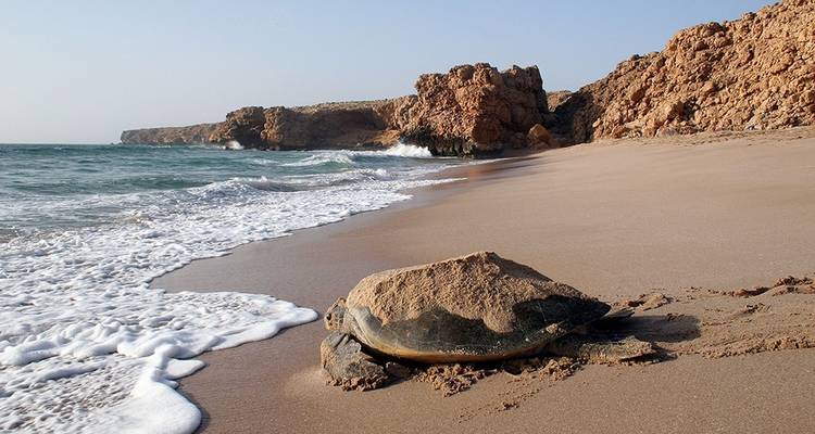 Pearls Of Muscat - 2 Days Oman - Oman City Tours 4