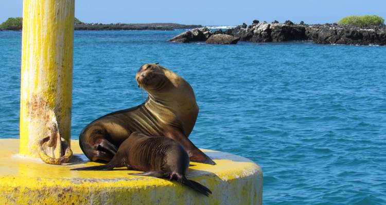 Les Galápagos, un archipel enchanté - 8 jours - Cami Adventures 2