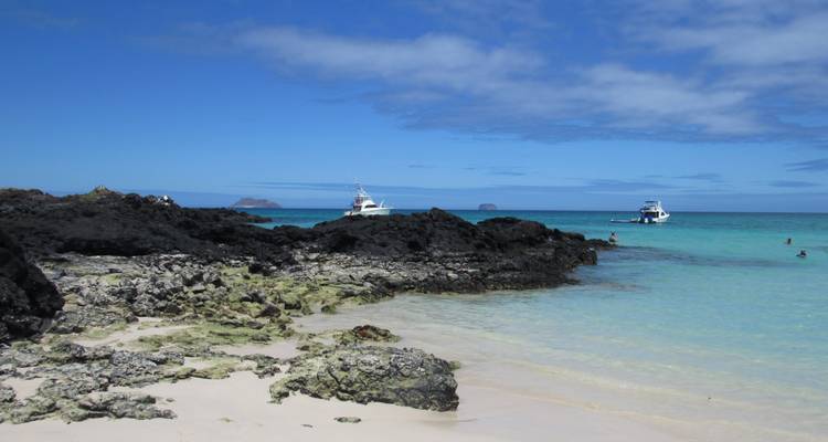 Les Galápagos, un archipel enchanté - 8 jours - Cami Adventures 7