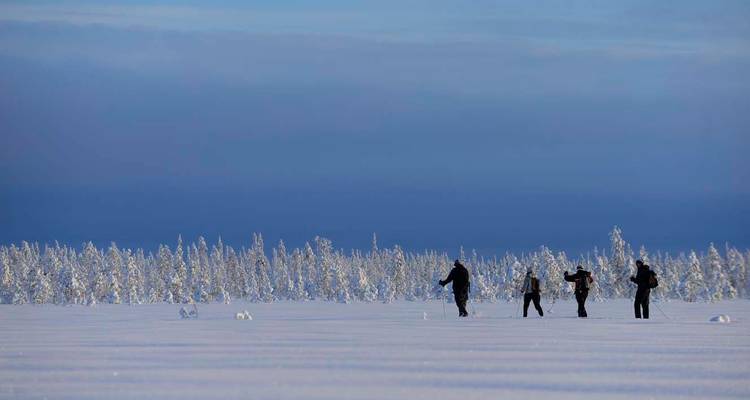 Grupo de personas caminando por un bosque nevado.