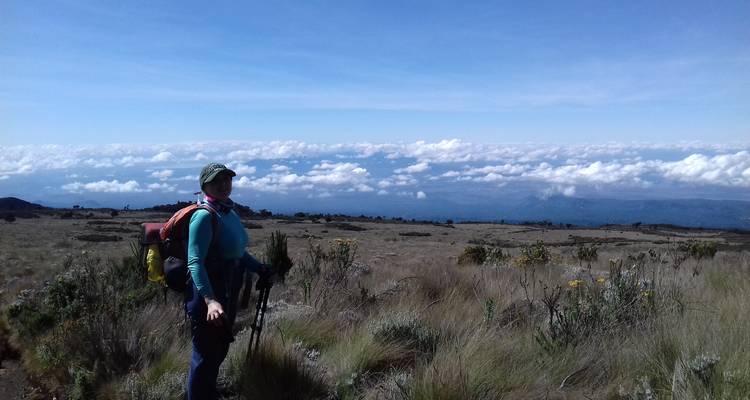 8 Days Mount Kilimanjaro Climbing - Marangu Route - Kiriwe Travel And Trekking Safaris Ltd 4