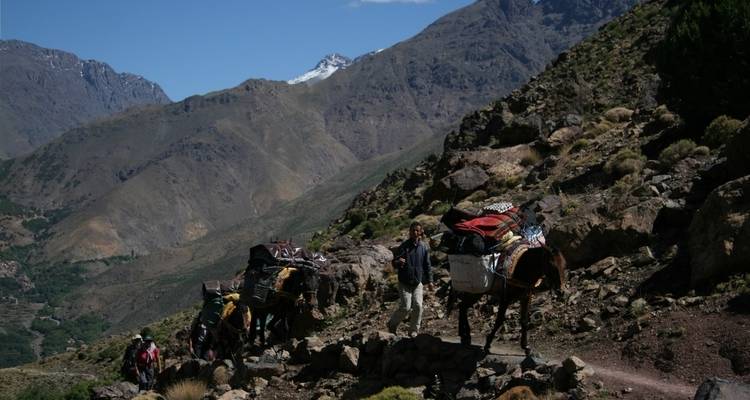 Berber villages & Mt Toubkal Ascent - View Morocco 2
