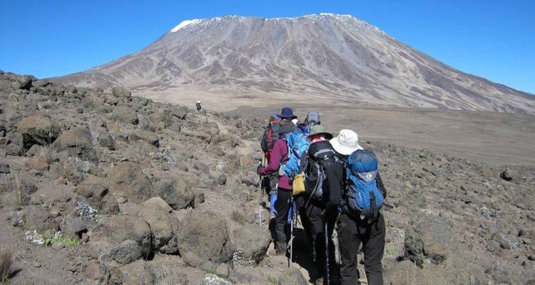 8 días de escalada al Kilimanjaro - ruta Rongai - Kiriwe Travel And Trekking Safaris Ltd 3