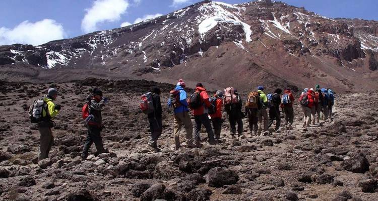 8 días de escalada al Kilimanjaro - ruta Rongai - Kiriwe Travel And Trekking Safaris Ltd 7