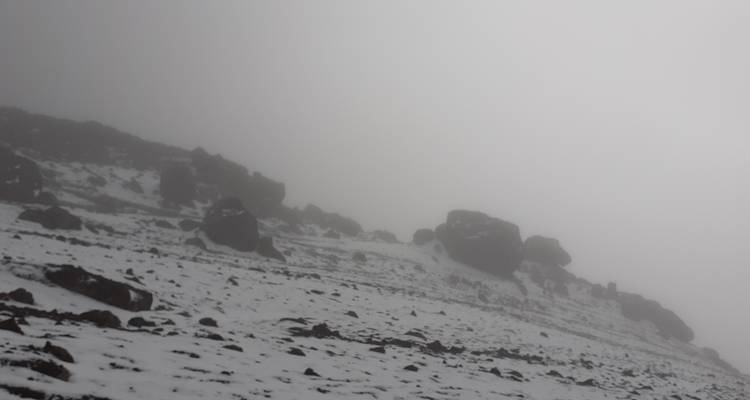 8 días de escalada al Kilimanjaro - ruta Rongai - Kiriwe Travel And Trekking Safaris Ltd 10