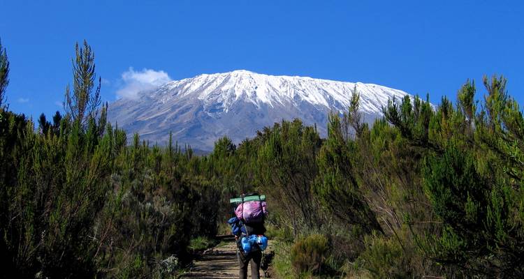 9 Days Mount Kilimanjaro Climbing - Rongai Route - Kiriwe Travel And Trekking Safaris Ltd 3