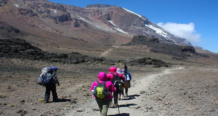 9 Days Mount Kilimanjaro Climbing - Rongai Route - Kiriwe Travel And Trekking Safaris Ltd 8