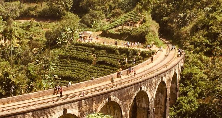 Vista panorámica del Puente de los Nueve Arcos rodeado de exuberante vegetación.
