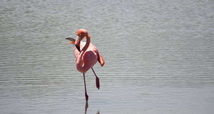 Galapagos Experience (4 days) - Cami Adventures 4