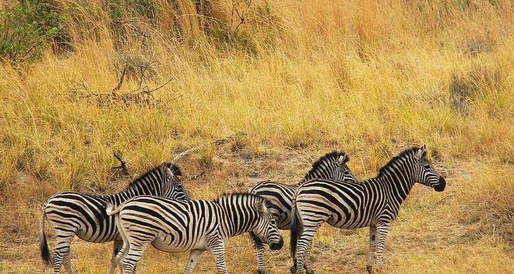 6-day Kruger, Swazi & Wild Coast (Accommodated) - Acacia Adventure Holidays 9