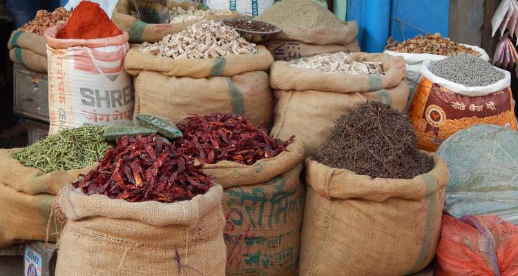 Aventura en la India con mochila - Vijay India Tours 4
