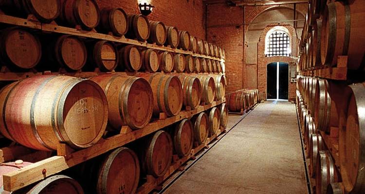 Dégustation de vins de Mendoza - People Travel and Experience 6