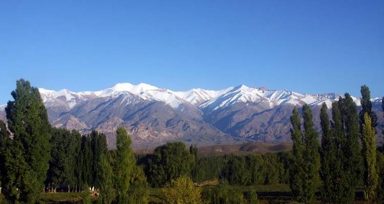 Experiencia única en Mendoza - People Travel and Experience 4