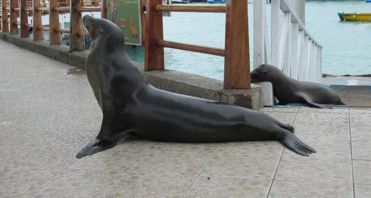 Galapagos Adventure (6 days) - Cami Adventures 2