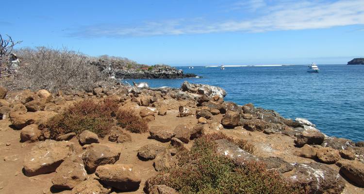 Galapagos Adventure (6 days) - Cami Adventures 7