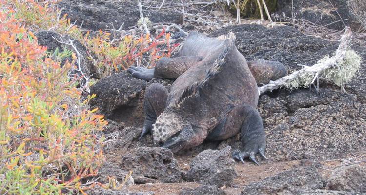Galapagos Adventure (6 days) - Cami Adventures 6