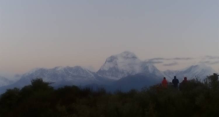 Annapurna short View Trek 4 jours - Mega Mount Treks and Expedition Pvt.Ltd.  6