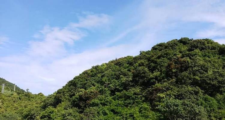 Découverte de l'île de Cham depuis Danang et Hoian - Nhat Long Travel Company 1