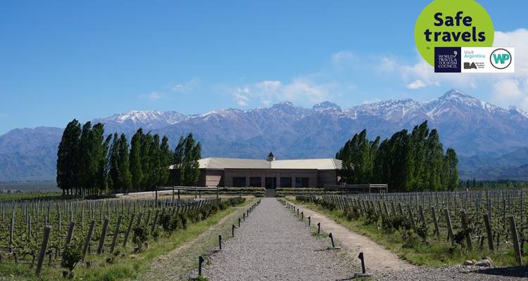 Vins et haute montagne : Salta et Mendoza - People Travel and Experience 3