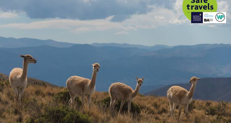 Vins et haute montagne : Salta et Mendoza - People Travel and Experience 10