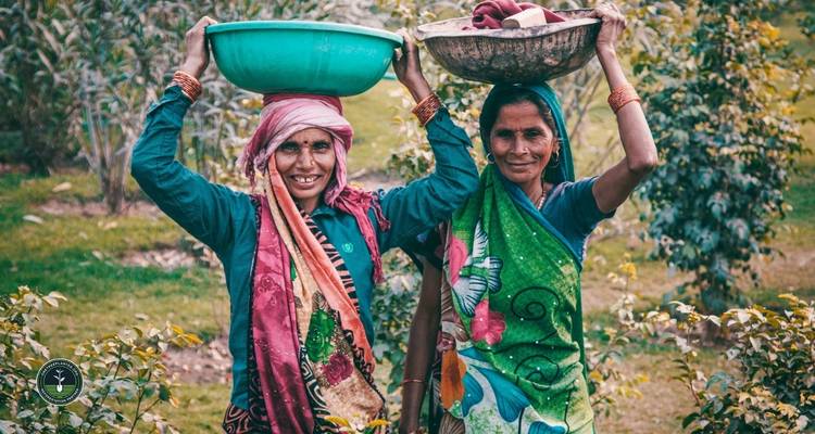 Ruta de 14 días por el Norte de la India - One Life Adventures - One Life Adventures 4