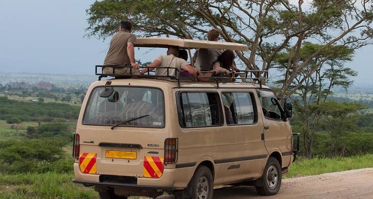 Las aves y las bestias de Uganda - Ovacado Adventures 1