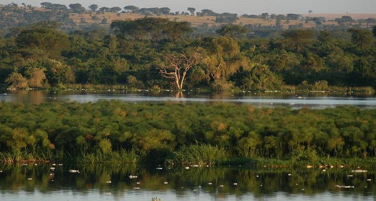 Las aves y las bestias de Uganda - Ovacado Adventures 6
