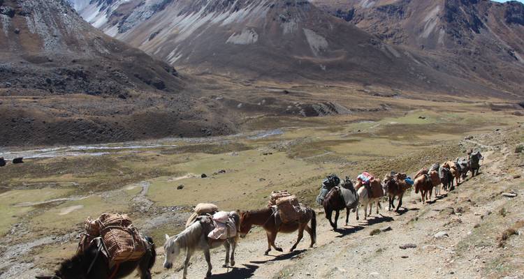Excursión a Jumolhari - Bhutan Travelers 8