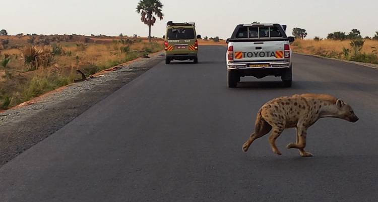 15 days discovery of  Uganda & Tanzania - Mukisa Safaris Uganda 4