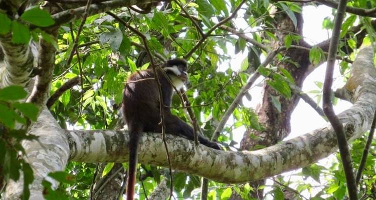 15 days discovery of  Uganda & Tanzania - Mukisa Safaris Uganda 7
