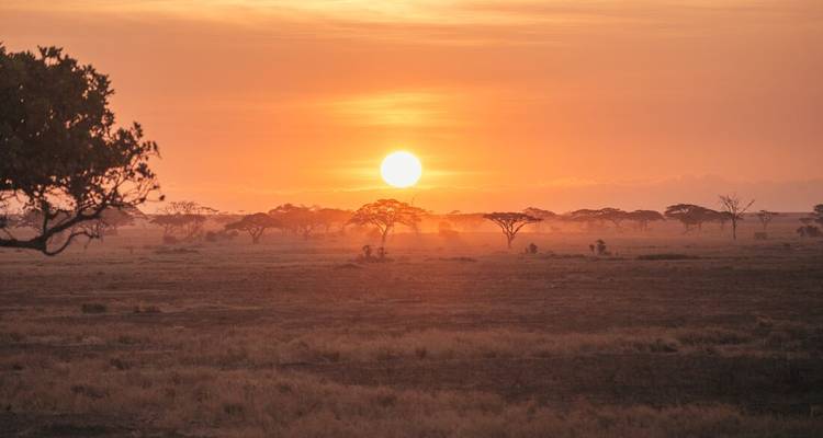 Afrique de l'Est réelle et; Zanzibar - Intrepid Travel 2