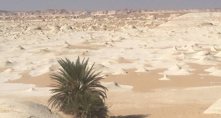 Aventura de 6 días en el Cairo y el Oasis del desierto - Ancient Egypt Tours 2