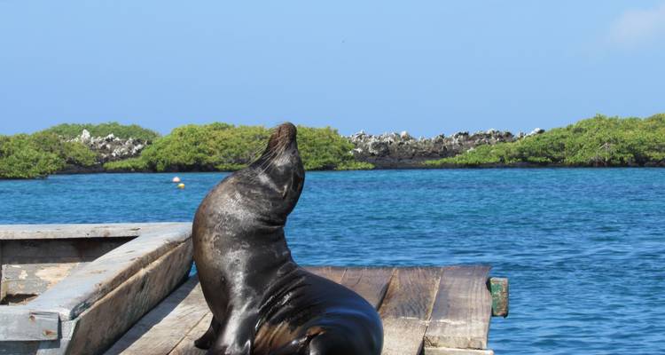 Explore Quito and Galapagos (8 Days) - Cami Adventures 3