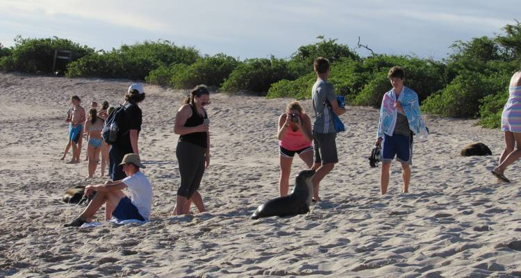 Explore Quito and Galapagos (8 Days) - Cami Adventures 7