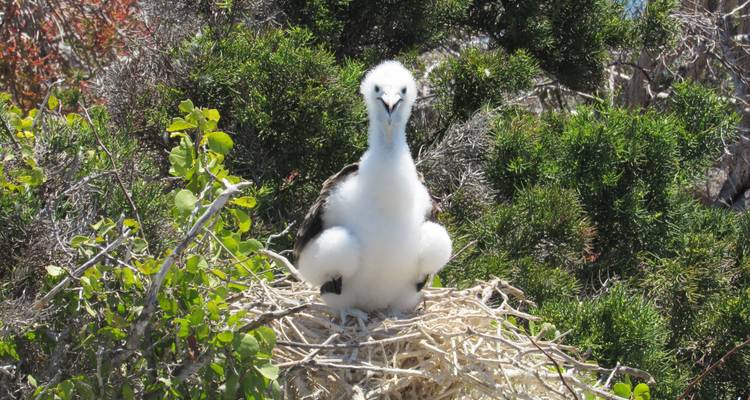 Explore Quito and Galapagos (8 Days) - Cami Adventures 2