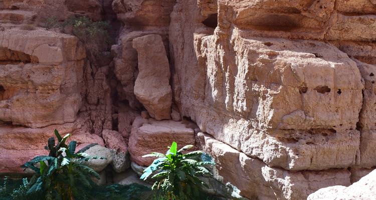 Gemas de Omán - Circuito de 5 Días por Omán - AFAQ Travel & Tourism 4