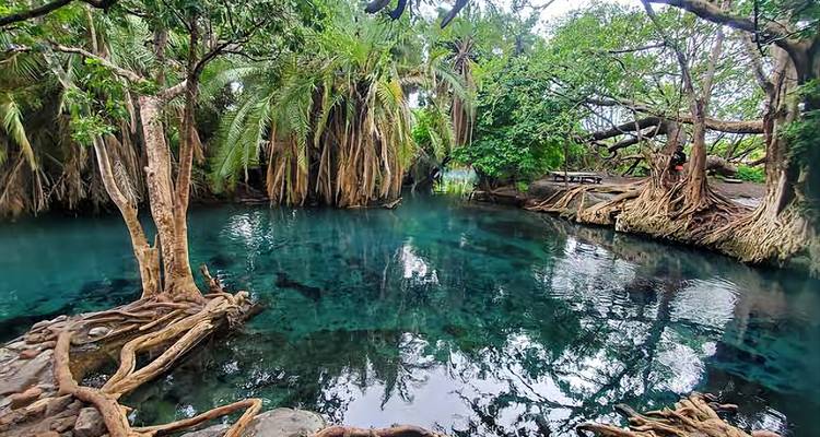Excursión económica de un día a las fuentes termales de Chemka (fuentes termales de Kikuletwa) -  Travel Africa Safari Agency 2