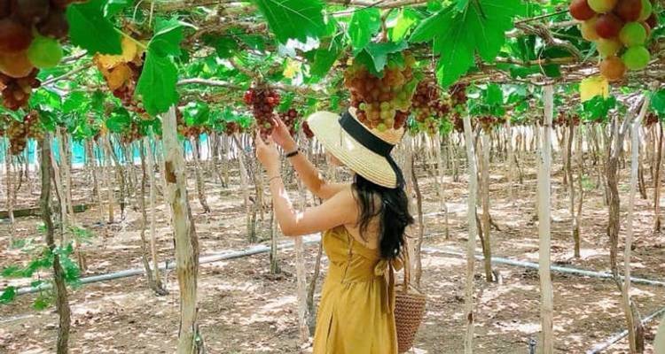 Nha Trang Islands Daily Tour - Nhat Long Travel Company 4