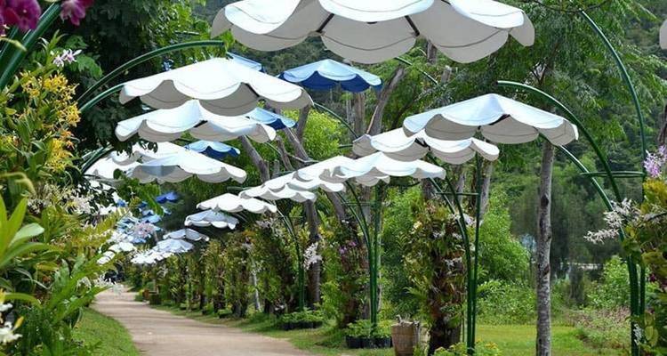 Nha Trang Islands Daily Tour - Nhat Long Travel Company 6