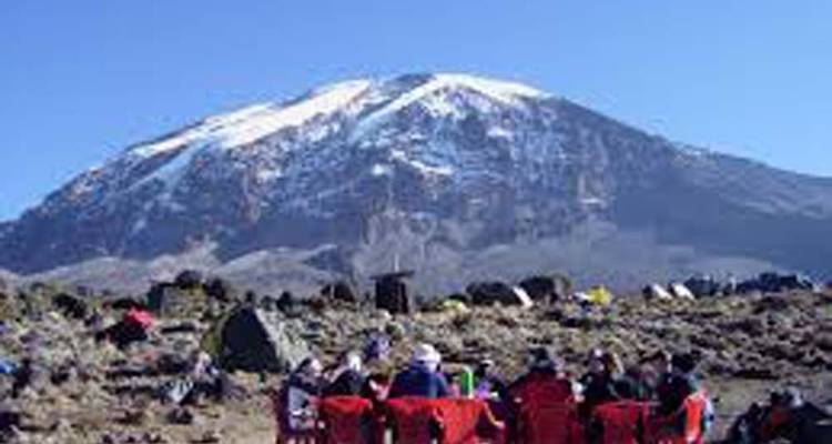 Randonnée d'une journée sur le Kilimandjaro - Route Machame -  Travel Africa Safari Agency 2