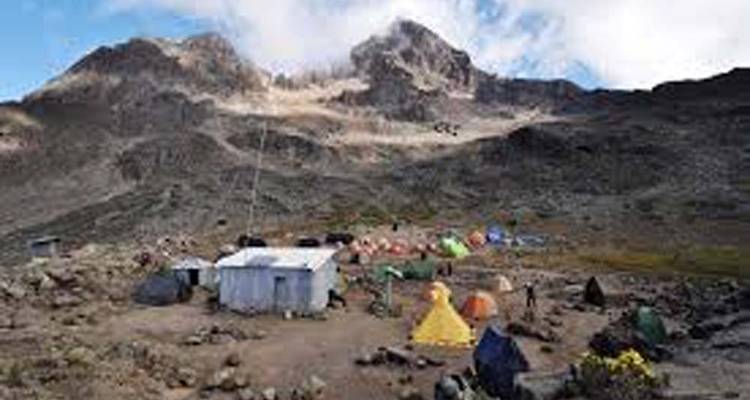 Randonnée d'une journée sur le Kilimandjaro - Route Machame -  Travel Africa Safari Agency 3
