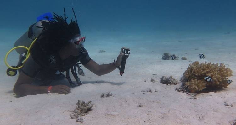 7 jours de visites au Caire et de vacances à Hurghada - Ancient Egypt Tours 4