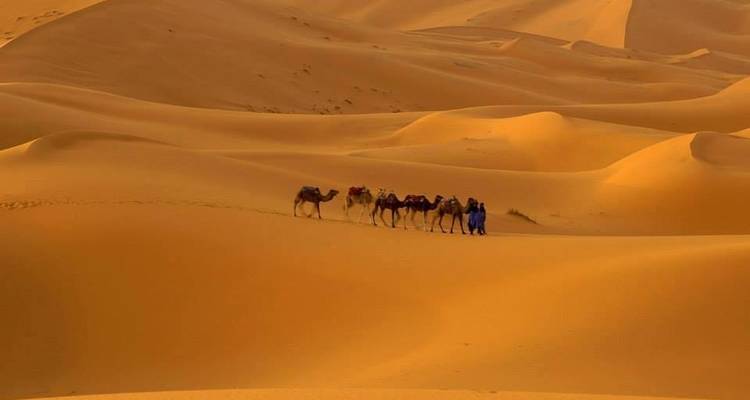 Circuit de 3 jours dans le désert du Sahara au départ de Marrakech - Cultural Morocco Tours 8