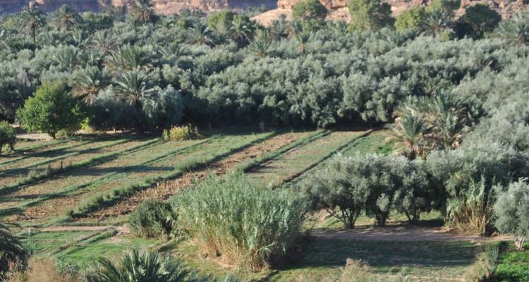 Maroc Sheltering Sky Expedition - Morocco Discoveries 1