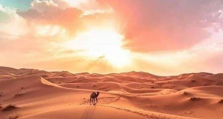 3 days From Marrakech to Fes private tour - Cultural Morocco Tours 9